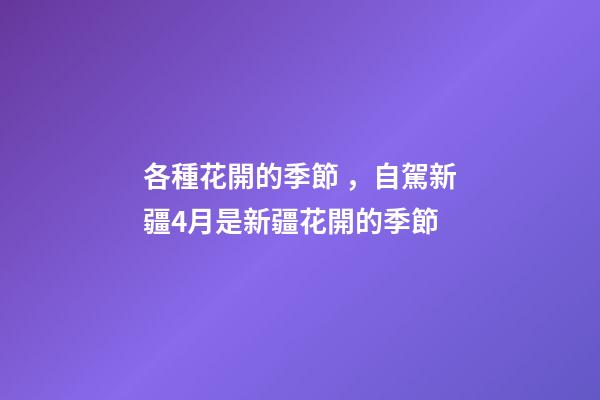 各種花開的季節，自駕新疆4月是新疆花開的季節